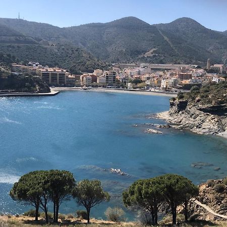 Ferienwohnung Piso En La Costa Brava Y Al Inicio Del Pirineo Portbou Exterior foto