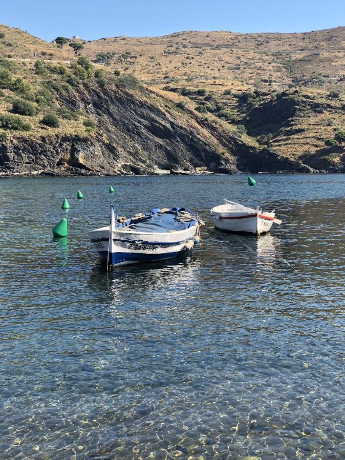 Ferienwohnung Piso En La Costa Brava Y Al Inicio Del Pirineo Portbou Exterior foto