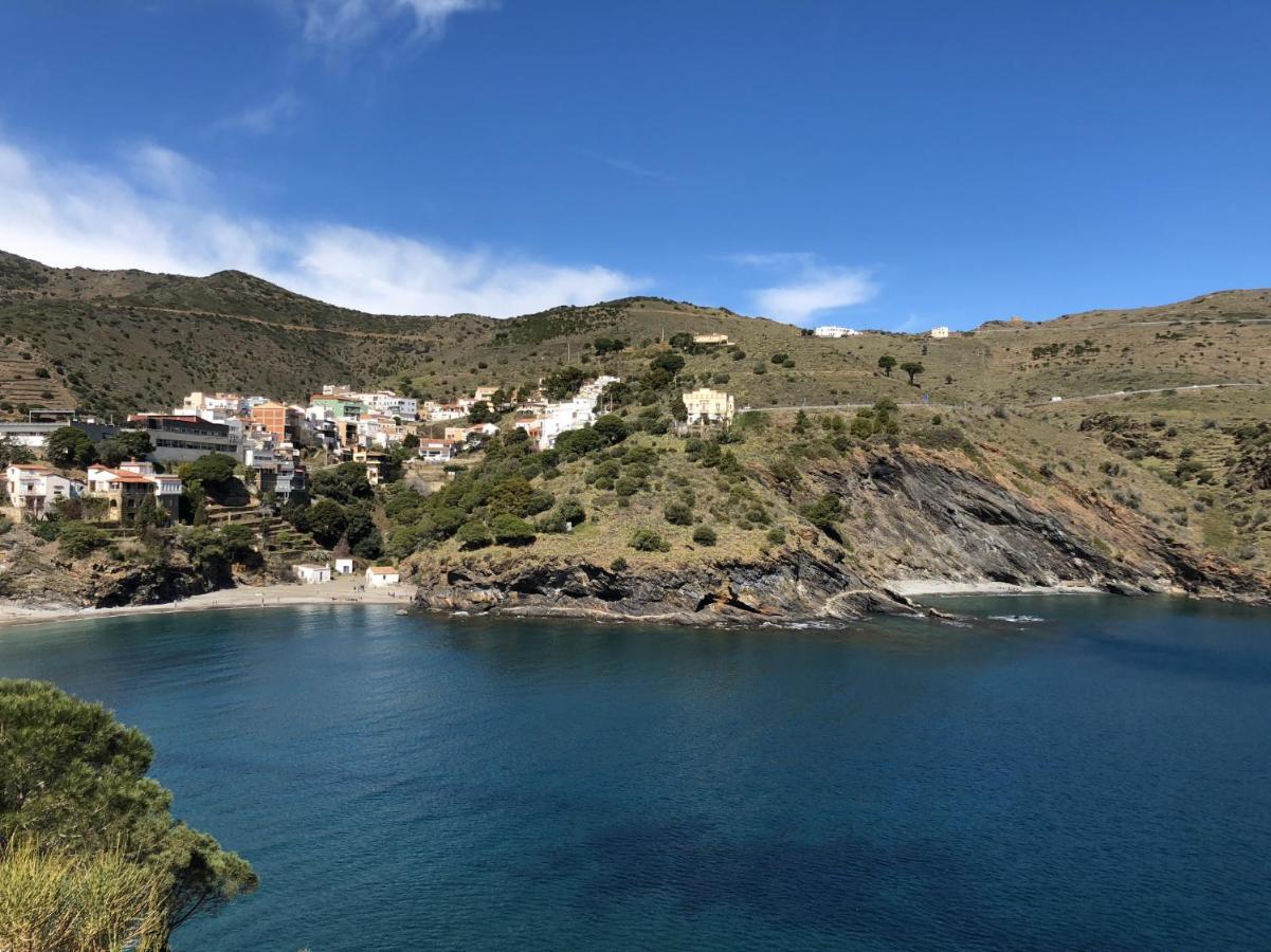 Ferienwohnung Piso En La Costa Brava Y Al Inicio Del Pirineo Portbou Exterior foto