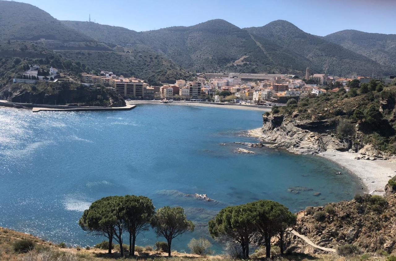 Ferienwohnung Piso En La Costa Brava Y Al Inicio Del Pirineo Portbou Exterior foto